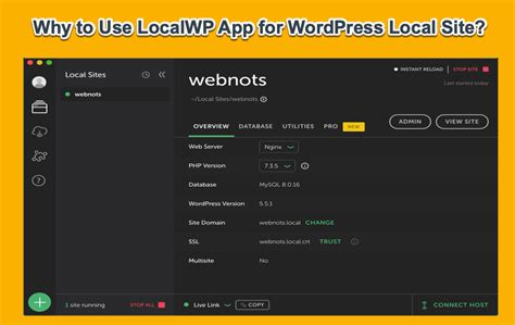 localw4m com|11 Reasons to Use LocalWP App for Local WordPress Site.